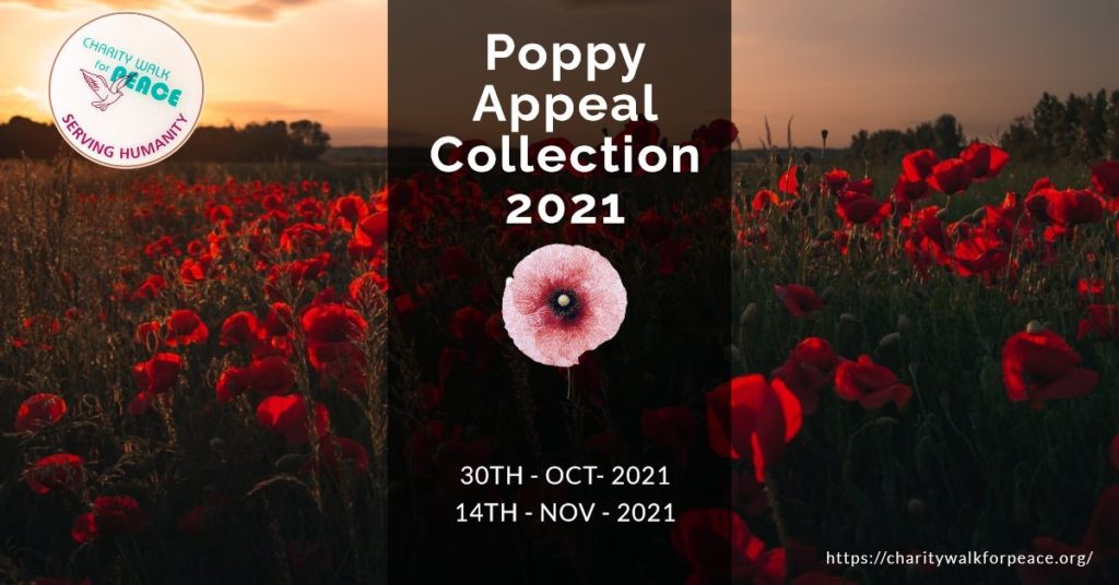Poppy Appeal Collection 2021